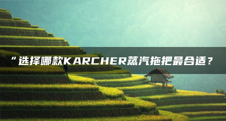 选择哪款KARCHER蒸汽拖把更合适?(图1)