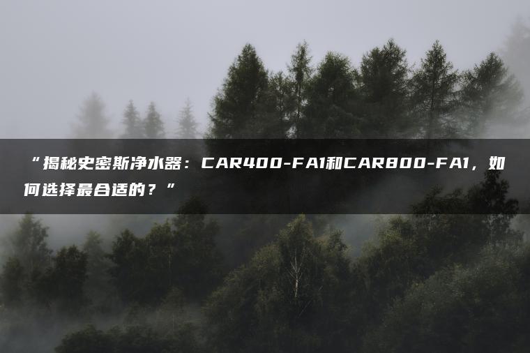 揭秘史密斯净水器:CAR400-FA1和CAR800-FA1,如何选择更合适的?(图1)