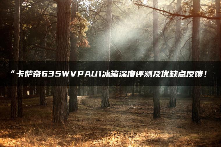 卡萨帝635WVPAU1冰箱深度评测及优缺点反馈!(图1)