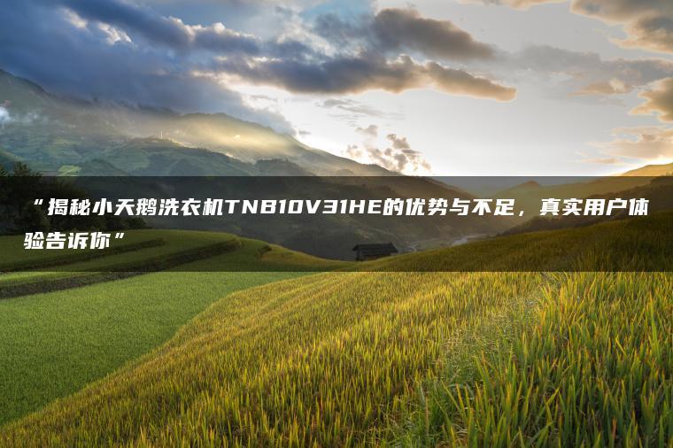 揭秘小天鹅洗衣机TNB10V31HE的优势与不足,真实用户体验告诉你(图1)